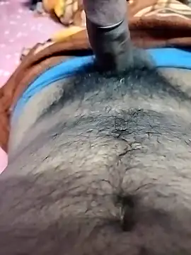 dick 01728 online show from 11.14.25