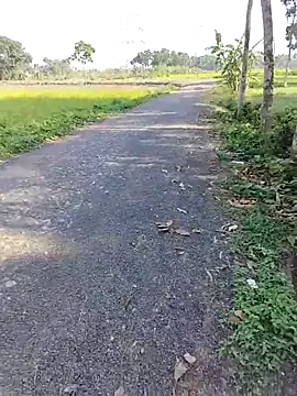 Snapshot of dick_01728 chatting on 04.11.26 dick 01728 online show from 04.11.26