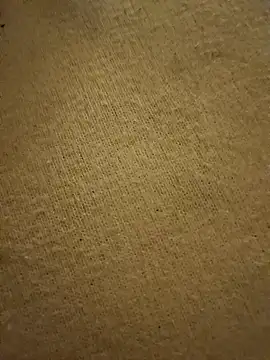 Snapshot of Fabio86semsimi chatting on 12.01.24 Fabio86semsimi online show from 12.01.24