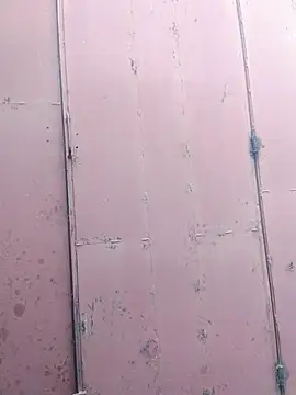 Snapshot of Polygamist chatting on 12.16.25 Polygamist online show from 12.16.25