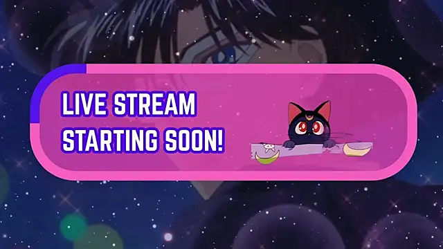 Snapshot of tuxedomasc_95 chatting on 12.14.25 tuxedomasc 95 online show from 12.14.25