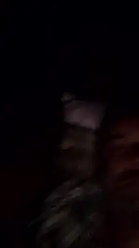 Gianlucazeis online show from 06.03.26