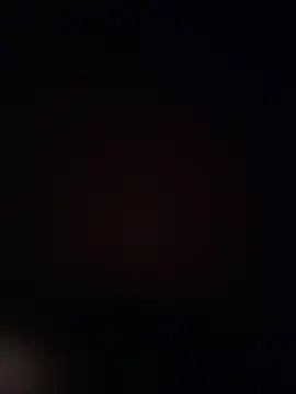 Dddoggystacks online show from 11.15.25