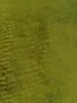 Snapshot of sadunt chatting on 12.17.25 sadunt online show from 12.17.25