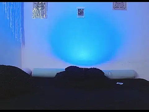 tylor boy online show from 06.02.26