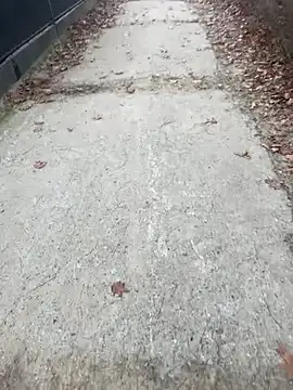 Snapshot of Tomkitomkii chatting on 11.06.25 Tomkitomkii online show from 11.06.25