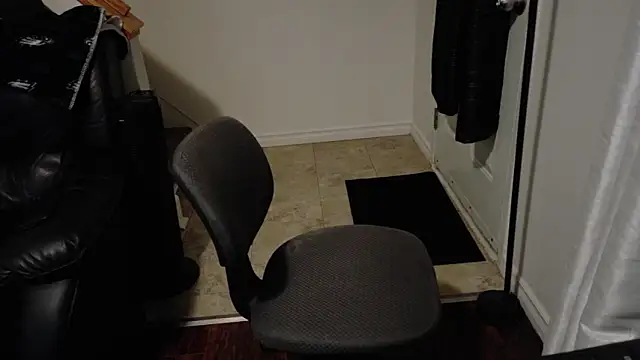 Snapshot of Thekodyy chatting on 12.04.25 Thekodyy online show from 12.04.25