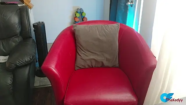 Snapshot of Thekodyy chatting on 02.04.26 Thekodyy online show from 02.04.26