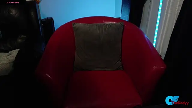 Snapshot of Thekodyy chatting on 02.05.26 Thekodyy online show from 02.05.26