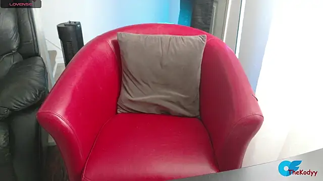 Snapshot of Thekodyy chatting on 02.06.26 Thekodyy online show from 02.06.26