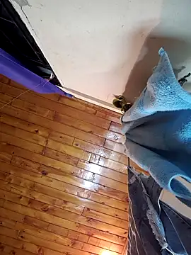 Snapshot of _____sams chatting on 01.11.25 sams online show from 01.11.25