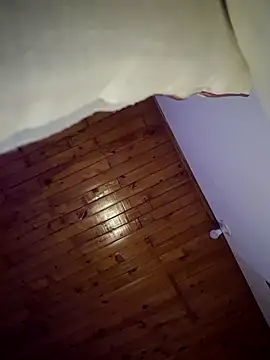 Snapshot of _____sams chatting on 02.11.26 sams online show from 02.11.26