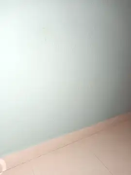 Snapshot of wild_bong_queen chatting on 12.08.24 wild bong queen online show from 12.08.24