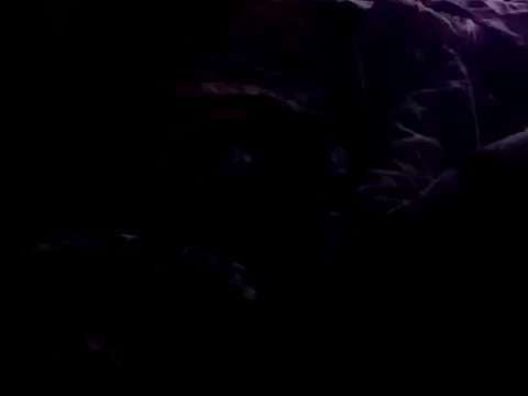 Snapshot of Pladurexxx chatting on 03.04.26 Pladurexxx online show from 03.04.26