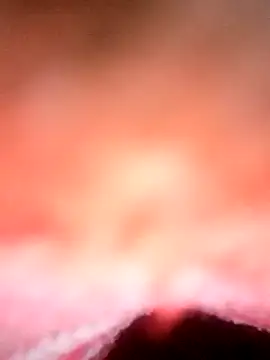 Snapshot of Avantika19 chatting on 01.06.25 Avantika19 online show from 01.06.25