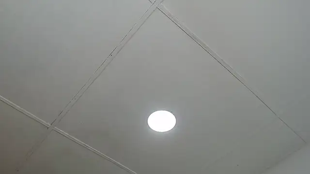 dannaberlin 0 online show from 03.13.25