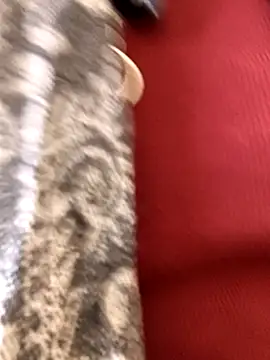 Snapshot of Ananya_34 chatting on 12.03.25 Ananya 34 online show from 12.03.25