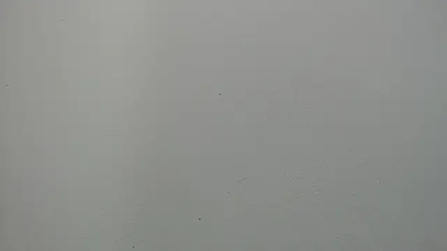 sussy leon online show from 03.14.25