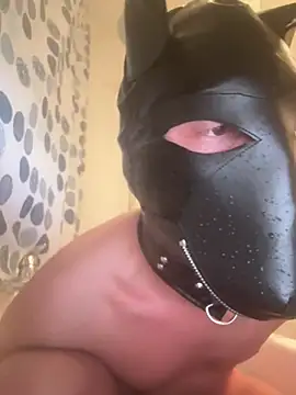 PlayDog123 online show from 03.06.25