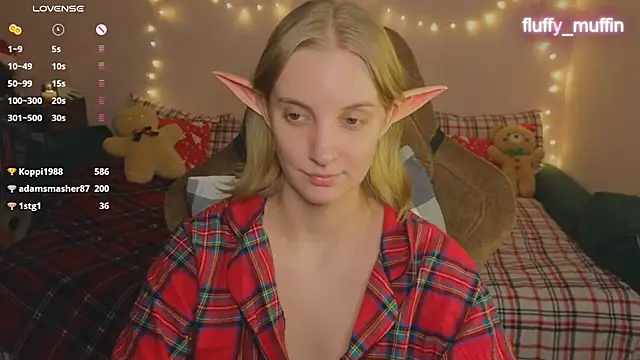 Fluffy muffin  online show from 12.29.24