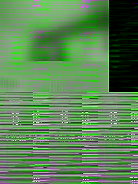 Snapshot of Rajni-Mehra chatting on 12.18.25 Rajni-Mehra online show from 12.18.25