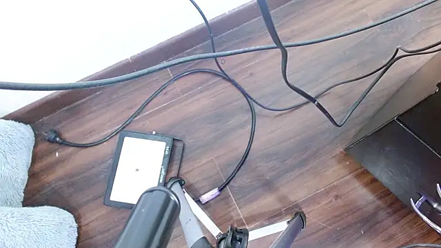 Aurora blossom   online show from 12.24.24