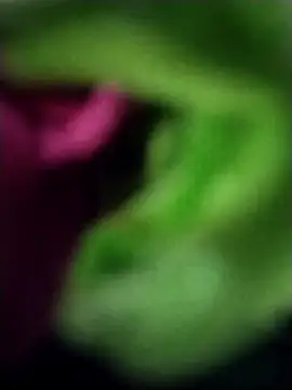 Snapshot of heartless__95 chatting on 03.23.25 heartless 95 online show from 03.23.25