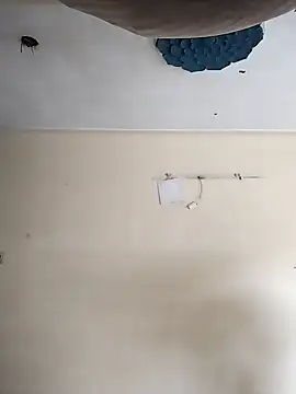 Snapshot of heartless__95 chatting on 10.20.25 heartless 95 online show from 10.20.25