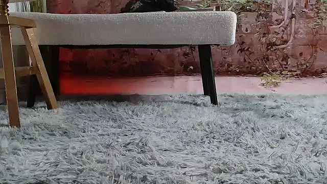 priselvis23 online show from 03.12.25