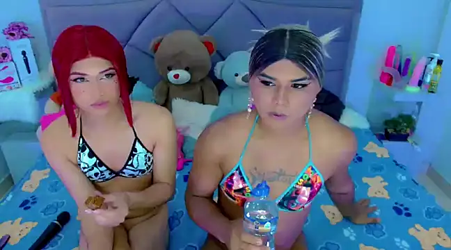 Snapshot of party_duo_trans chatting on 02.27.25 party duo trans online show from 02.27.25