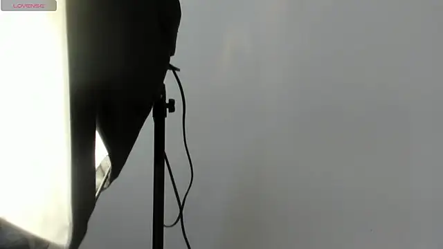 AbigailWilliams  online show from 11.14.25