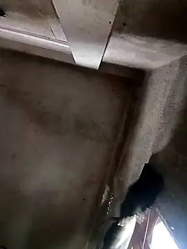 NICK IN online show from 10.30.25