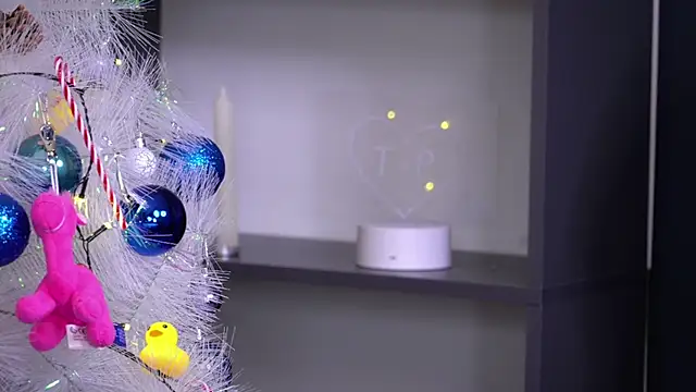 Snapshot of PollyBeev chatting on 11.23.25 PollyBeev online show from 11.23.25