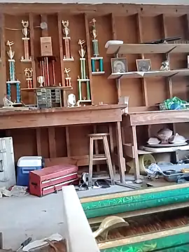 Buffshagswell online show from 03.11.25