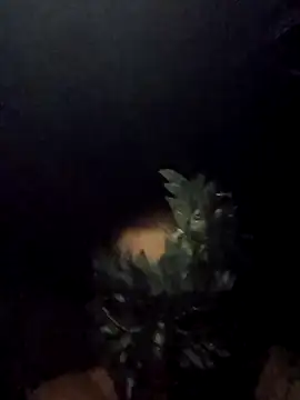 Buffshagswell online show from 09.15.25