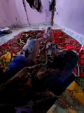 Ssdhaka11 online show from 11.06.25