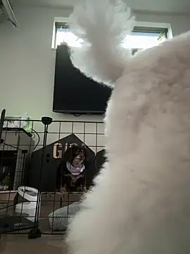 Snapshot of kensnb chatting on 03.08.25 kensnb online show from 03.08.25