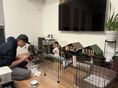 Snapshot of kensnb chatting on 10.21.25 kensnb online show from 10.21.25