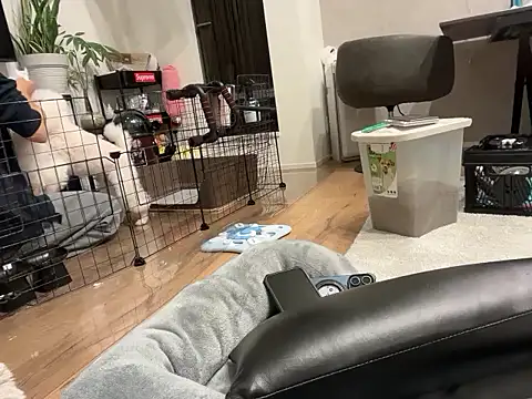 Snapshot of kensnb chatting on 11.01.25 kensnb online show from 11.01.25