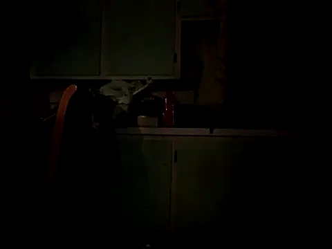 Snapshot of Frankdick01 chatting on 10.04.25 Frankdick01 online show from 10.04.25