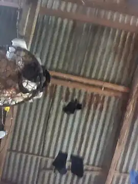 Snapshot of Reynold2608 chatting on 12.22.25 Reynold2608 online show from 12.22.25