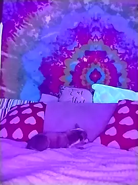 ivylee31 online show from 03.04.26