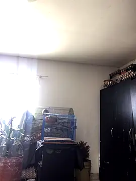 Snapshot of Miss_oliviaa chatting on 10.22.25 Miss oliviaa online show from 10.22.25