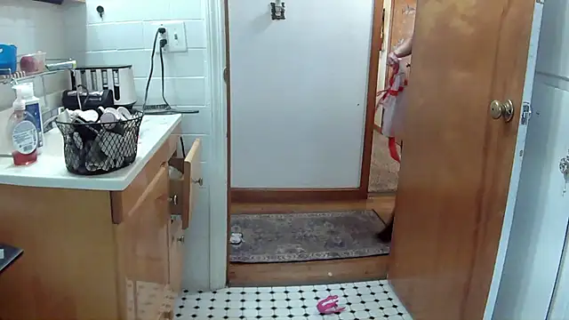 Snapshot of EllaSnow chatting on 12.15.24 EllaSnow online show from 12.15.24