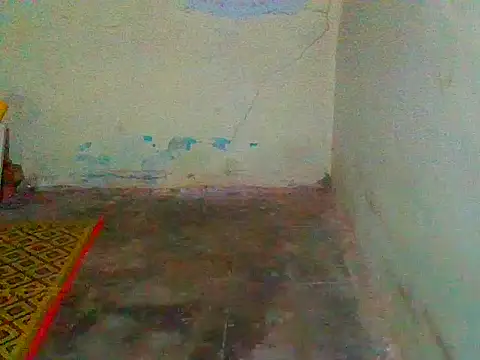 jellydicks online show from 02.11.25