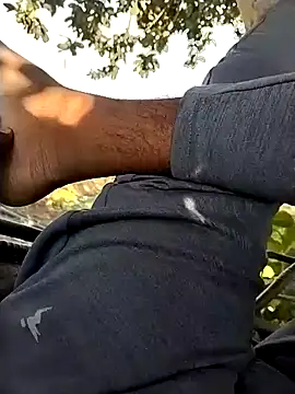 jellydicks online show from 11.21.25