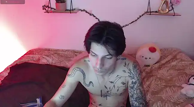 Snapshot of Apolo_Hidalgo01 chatting on 12.29.24 Apolo Hidalgo01 online show from 12.29.24