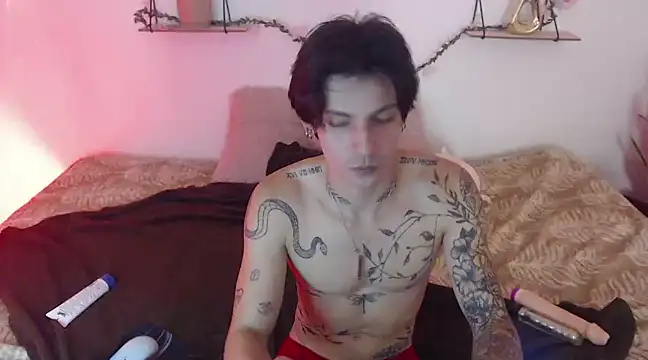 Snapshot of Apolo_Hidalgo01 chatting on 01.06.25 Apolo Hidalgo01 online show from 01.06.25