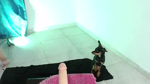 Snapshot of April_sexycurvi chatting on 11.21.25 April sexycurvi online show from 11.21.25