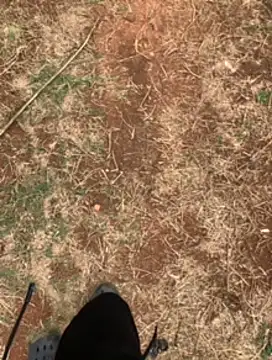 Black mamba madingo online show from 02.23.25